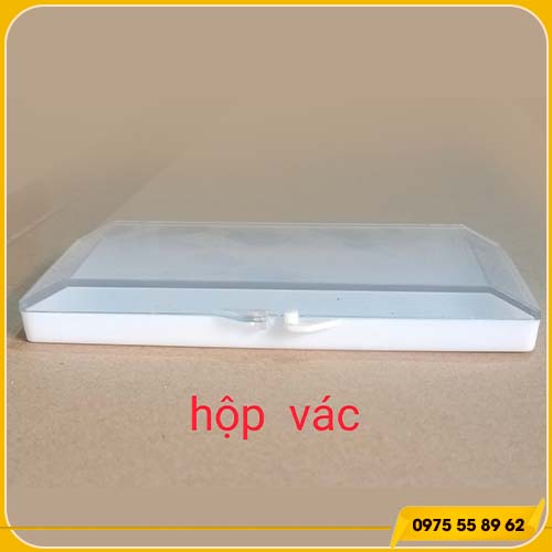 Hộp đựng mi giả