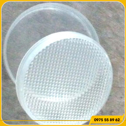 Hộp đựng mi giả